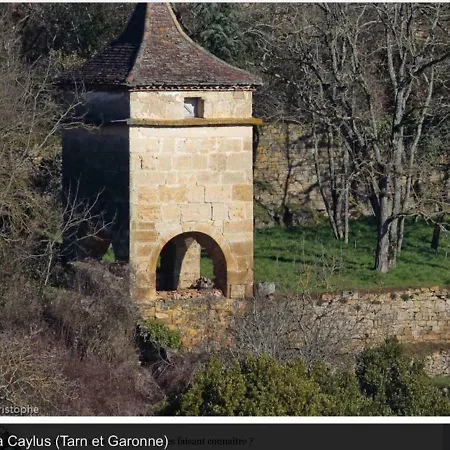La Malle D'arthur Caylus